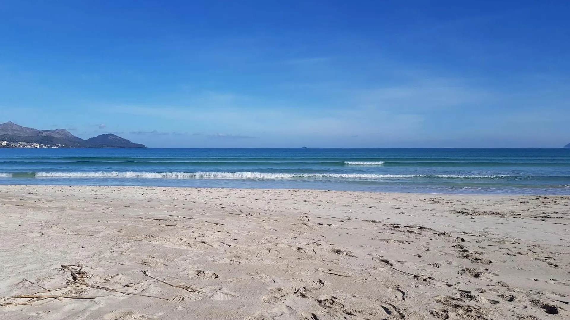 Ideal Property Mallorca - Sa Costa contacts