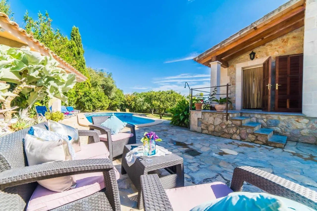 Ideal Property Mallorca - Sa Costa Buger Spain