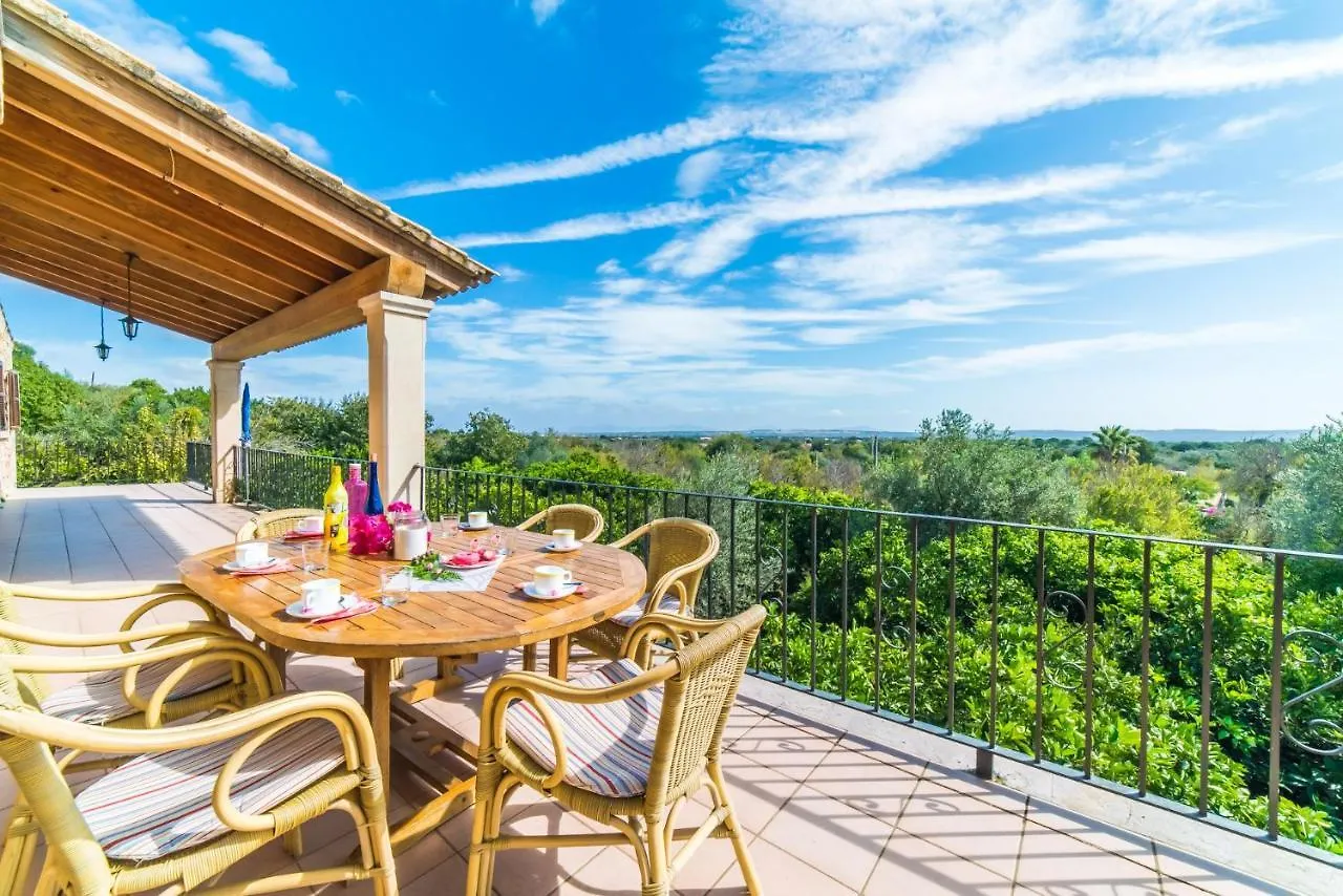 Ideal Property Mallorca - Sa Costa Buger Spain