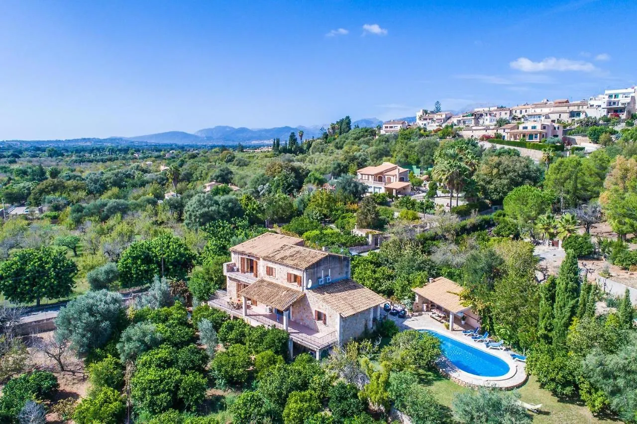 Ideal Property Mallorca - Sa Costa Buger 0*,