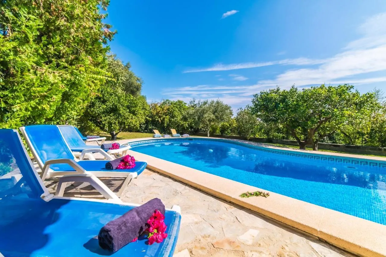 Ideal Property Mallorca - Sa Costa Buger 0*,